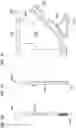 Fig. 25 - FLEXIBLE EXTRUDED CABLE MOLDING SYSTEM, METHODS, AND TOOLS