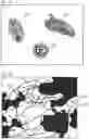 Fig. 12 - Mobile microscope assembly