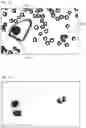Fig. 13 - Mobile microscope assembly