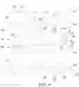 Fig. 05 - Display device