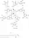 Fig. 53 - COMPOUND, RESIST COMPOSITION CONTAINING COMPOUND AND PATTERN FORMATION METHOD USING SAME