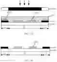 Fig. 08 - Display substrate, method for preparing the same, and display device