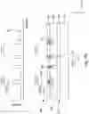 Fig. 04 - Method for forming semiconductor structure and overlay error estimation