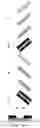 Fig. 08 - Image forming apparatus