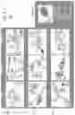 Fig. 06 - ELECTRONIC MANUAL DISPLAY METHOD AND ELECTRONIC MANUAL CONTROL DEVICE