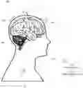 Fig. 01 - Systems and methods for haptically-enabled neural interfaces