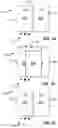 Fig. 19 - HANDLING GESTURES FOR CHANGING FOCUS