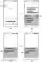 Fig. 01 - Electronic device and screen sharing method of electronic device