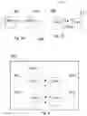Fig. 07 - SYSTEM AND METHOD FOR LOCATION AWARE PROCESSING