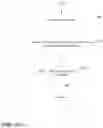Fig. 14 - Systems and methods for cohort analysis using compressed data objects enabling fast memory lookups