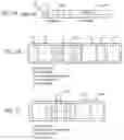 Fig. 02 - Chunk header incorporating binary flags and correlated variable-length fields