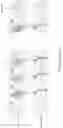Fig. 07 - Chunk header incorporating binary flags and correlated variable-length fields