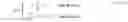 Fig. 28 - Optimized navigable key-value store