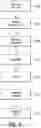 Fig. 07 - Method and system of a user associating a first webpage web link and second webpage link and viewing of the contents of the webpage links by the selection of the first webpage link