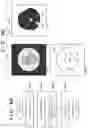 Fig. 06 - Image processing apparatus, image processing method, and storage medium for extracting an irradiation field of a radiograph