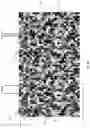 Fig. 09 - System and method for noise-based training of a prediction model