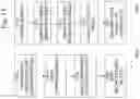 Fig. 19 - BRAIN OPERATING SYSTEM