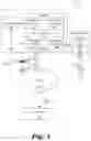 Fig. 02 - USER-CONFIGURED ALTERNATE EMAIL RENDERING