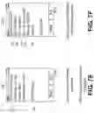 Fig. 12 - Data security system using mobile communications device