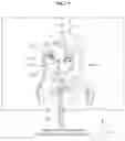 Fig. 08 - Method and apparatus for applying dynamic effect to image