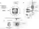 Fig. 01 - Live-cell computed tomography