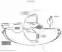 Fig. 07 - Live-cell computed tomography