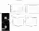 Fig. 10 - Live-cell computed tomography