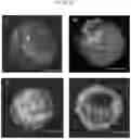 Fig. 13 - Live-cell computed tomography