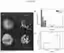 Fig. 16 - Live-cell computed tomography