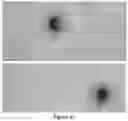 Fig. 20 - Live-cell computed tomography