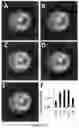 Fig. 23 - Live-cell computed tomography