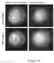 Fig. 26 - Live-cell computed tomography