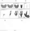 Fig. 10 - System and method for generating planar section 3D shape representations