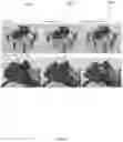 Fig. 26 - System and method for generating planar section 3D shape representations