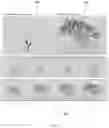 Fig. 27 - System and method for generating planar section 3D shape representations