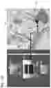 Fig. 24 - Transfer of image data taken by an on-vehicle camera