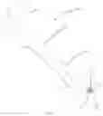 Fig. 02 - Drumstick