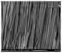 Fig. 01 - Nonwoven Sound Absorbing Material