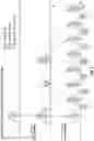 Fig. 07 - NAND cell encoding to improve data integrity