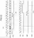 Fig. 16 - Semiconductor devices performing a write leveling training operation and semiconductor systems including the semiconductor devices
