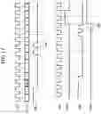 Fig. 18 - Semiconductor devices performing a write leveling training operation and semiconductor systems including the semiconductor devices