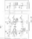 Fig. 13 - Shared source line memory architecture for flash cell byte-alterable high endurance data memory
