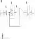 Fig. 21 - Adaptive high voltage circuitry and methods for programming operations in an analog neural memory array in a deep learning artificial neural network