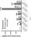 Fig. 05 - STABLE PROTEINS AND METHODS FOR DESIGNING SAME