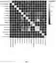 Fig. 09 - Prediction of phenotypes using recommender systems