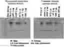 Fig. 01 - Quantitative Cluster Analysis Method Of Target Protein By Using Next-Generation Sequencing And Use Thereof