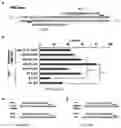 Fig. 22 - Methods and systems for identifying nucleotide-guided nuclease off-target sites