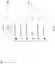 Fig. 12 - INTERACTIVE COMPUTING SYSTEM TO GENERATE CUSTOMIZED PREVENTIVE HEALTH INFORMATION BASED ON AN INDIVIDUAL'S BIOMARKERS