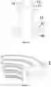 Fig. 06 - Superconducting dipole magnet structure for particle deflection