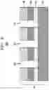 Fig. 09 - Tone reversal during EUV pattern transfer using surface active layer assisted selective deposition